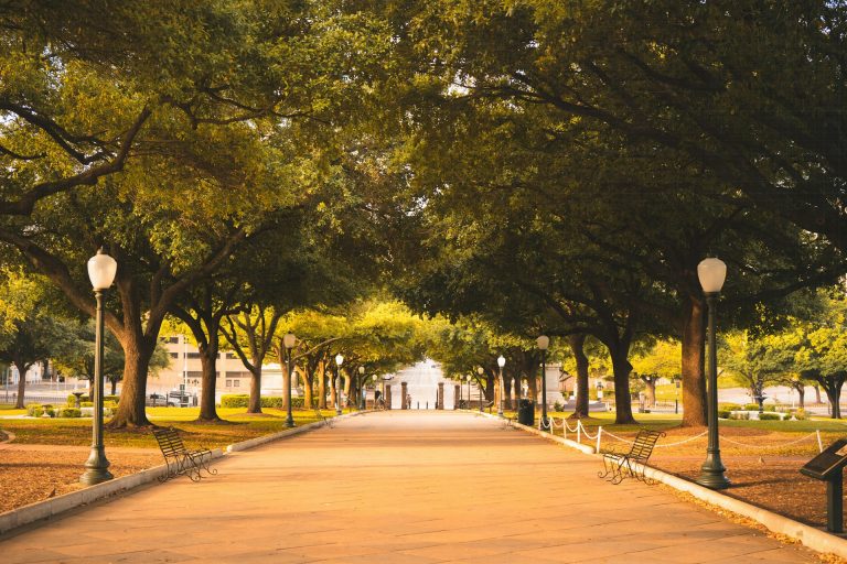Best Neighborhoods in Austin: How to Choose the Right Area for Your Move