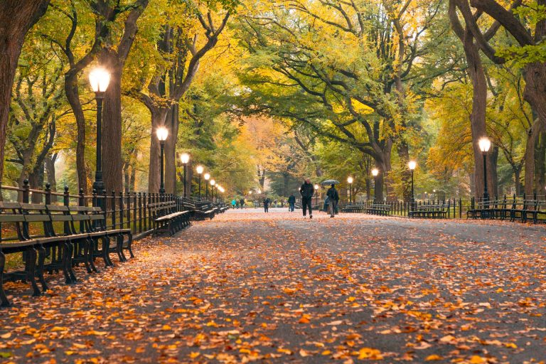 Best Neighborhoods in NYC for Young Professionals: Decide by Priorities