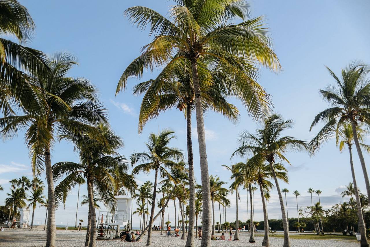 Weather in Miami